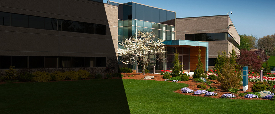 Friona Landscapers