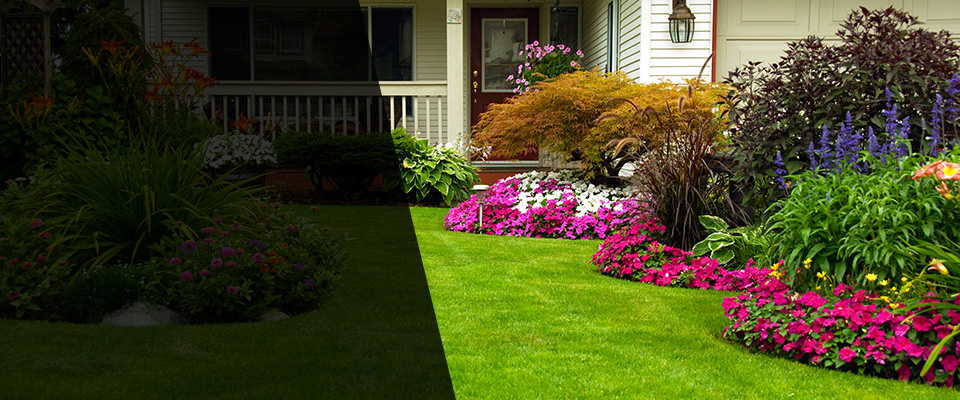 Friona Landscapers