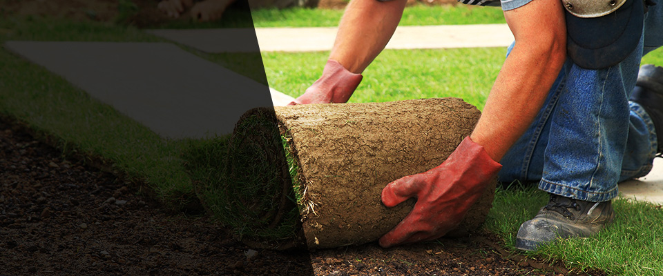 Friona Landscapers